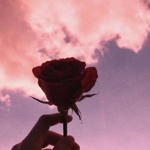 Meet your Posher, May